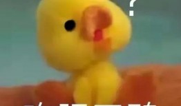 娱乐吃瓜酱鸭鸭视频,揭秘娱乐圈幕后故事